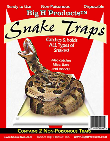 package design